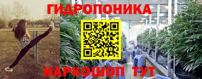 ПСИЛОЦИБИНОВЫЕ ГРИБЫ Гусев
