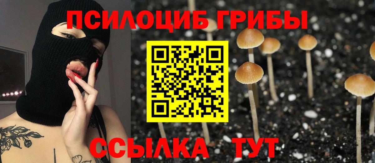 где купить наркотик  Вход с VPN  Нижнекамск  Псилоцибиновые грибы ЛСД 